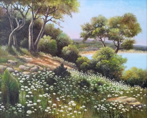 Canyon Lake Yacht Club